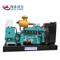 Best Price Gas Generator and Hydrogen Gas Generator Set For Sale